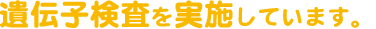 遺伝子検査を実施しています